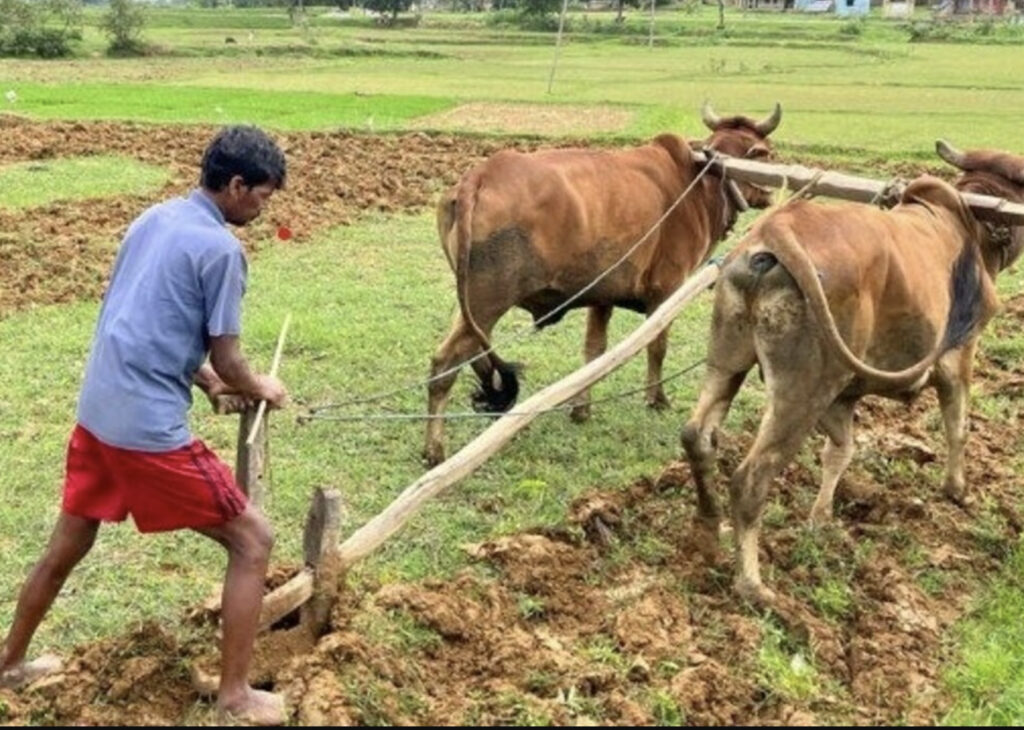 Upcoming Elections In 6 Agricultural States Leads To Risk For PSU Banks